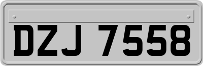 DZJ7558