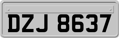 DZJ8637