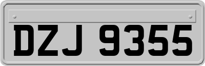 DZJ9355