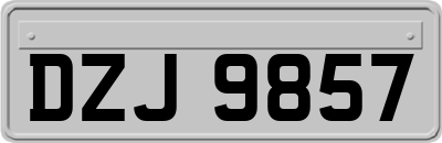 DZJ9857