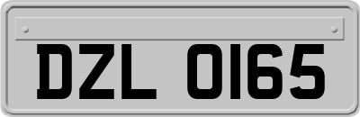 DZL0165
