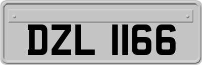 DZL1166
