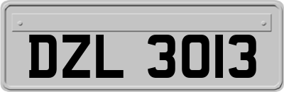 DZL3013