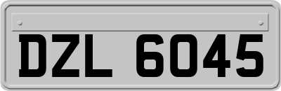 DZL6045