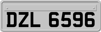 DZL6596