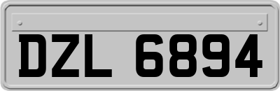 DZL6894