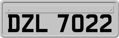 DZL7022