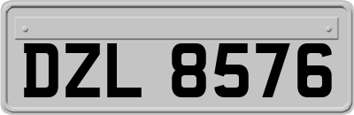 DZL8576