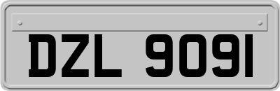 DZL9091
