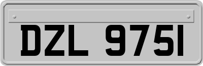 DZL9751