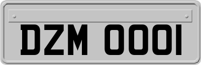 DZM0001