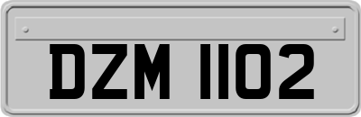 DZM1102