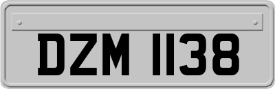 DZM1138