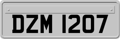 DZM1207