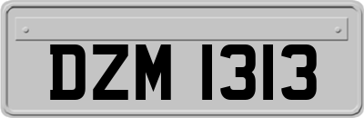 DZM1313