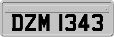 DZM1343