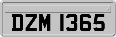 DZM1365