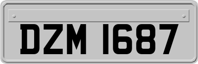 DZM1687