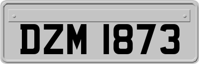 DZM1873