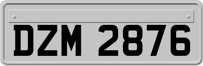 DZM2876