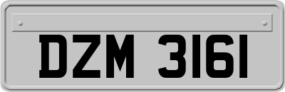 DZM3161