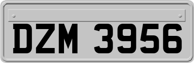DZM3956