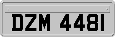 DZM4481