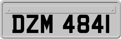 DZM4841