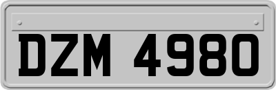 DZM4980
