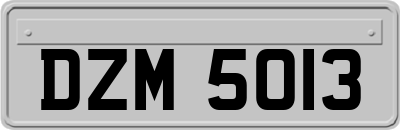 DZM5013