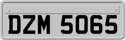 DZM5065