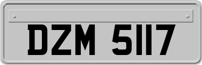DZM5117