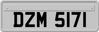 DZM5171