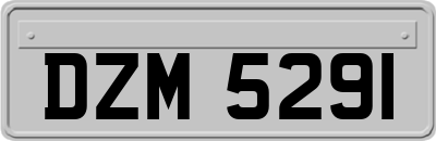 DZM5291