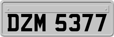 DZM5377