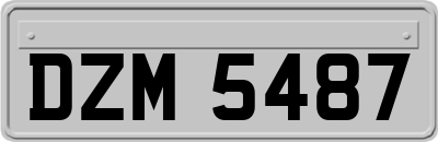 DZM5487