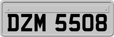 DZM5508