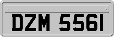 DZM5561
