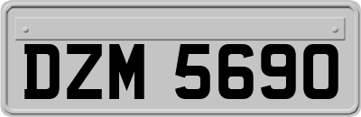 DZM5690