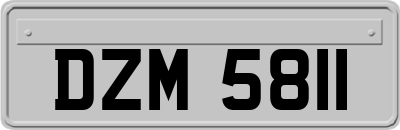 DZM5811