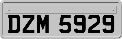 DZM5929