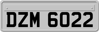DZM6022