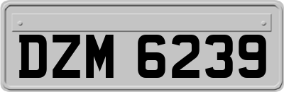 DZM6239