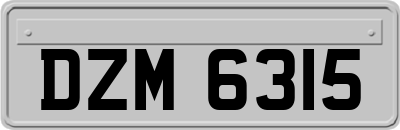 DZM6315