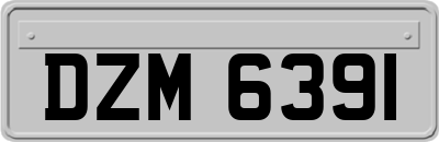 DZM6391