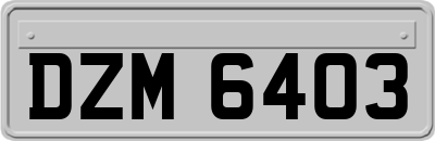 DZM6403