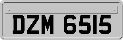 DZM6515