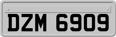DZM6909