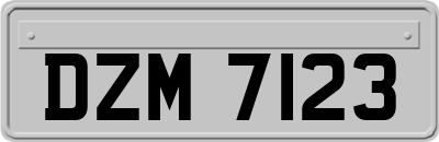 DZM7123