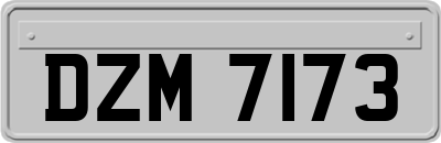 DZM7173